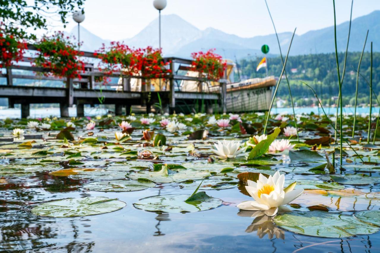 Inselhotel Faakersee Фаак ам Зее Екстериор снимка